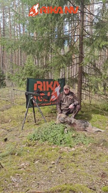 Эффективная охота на волка на приваде с RikaNV Lesnik2 660L