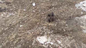 Надо все обследовать.