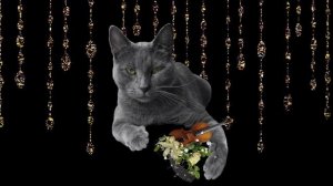 Колокольчики и сверчки