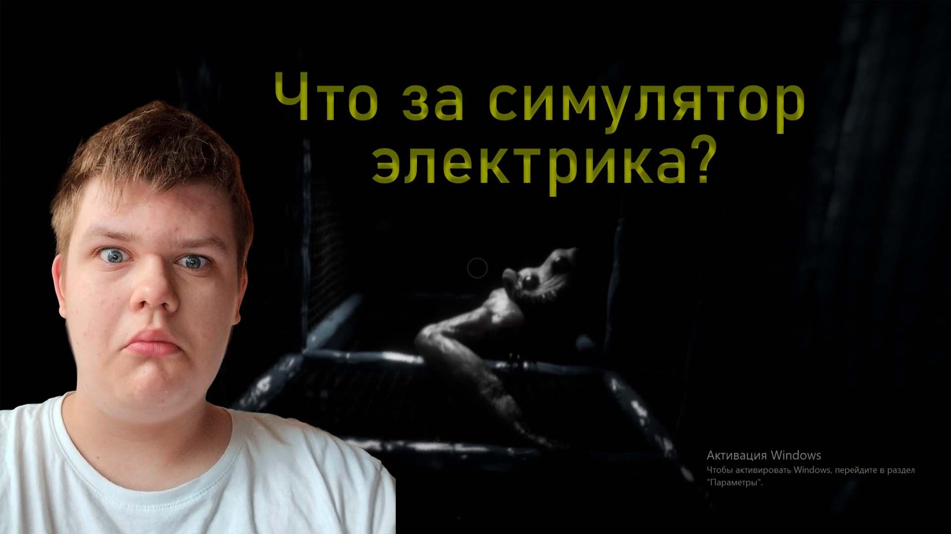 Subliminal. Симулятор электрика.