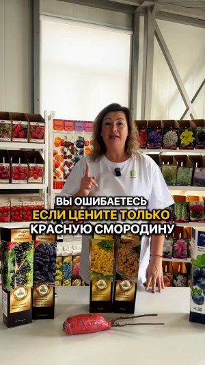 В чем ПОЛЬЗА белой смородины?