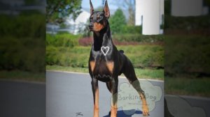 Вот так вот💋✨