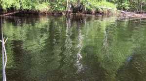 Цирк на реке...