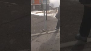 прогулка до 47 дома