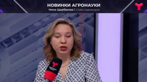 Старт дачного сезона