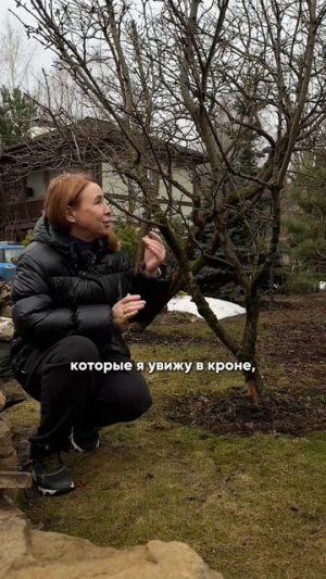 Грызуны этой зимой порезвились в наших садах 😢