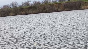 Поплавочная рыбалка на пруду.