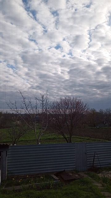 Звон колоколов!