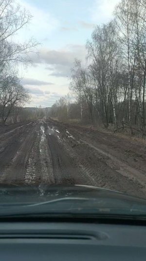 Кто пилит наш лес