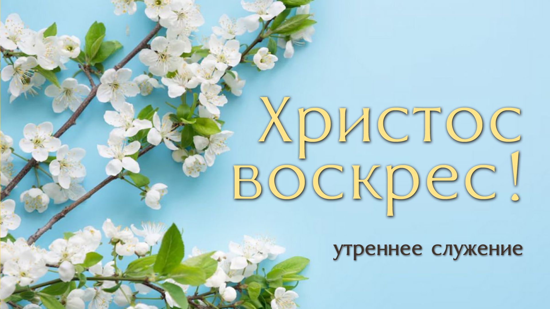 13 апреля 2026 10-00