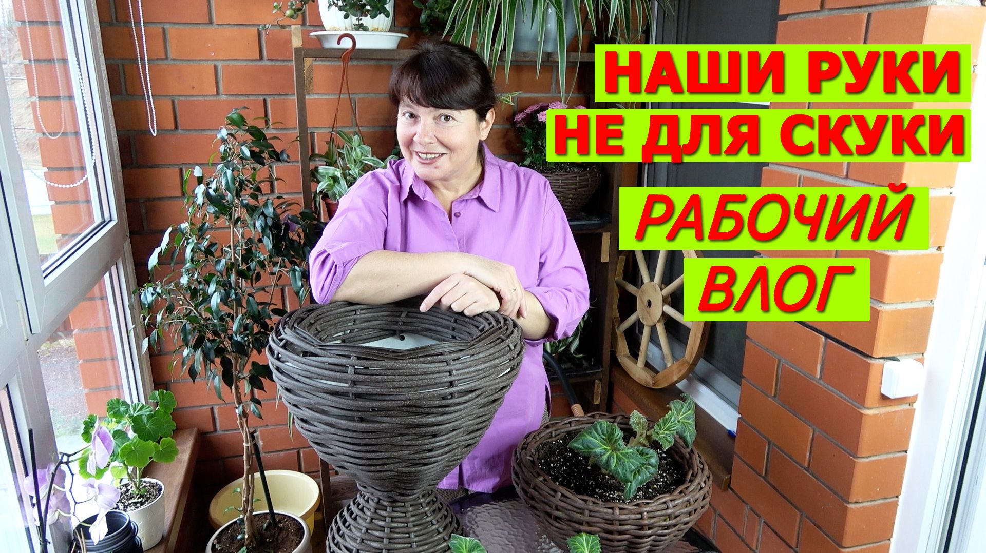 ЗАСУШИЛА РАССАДУ! Когда столько де, что уже еле справляюсь. Рабочий ОЧЕНЬ ПОЛЕЗНЫЙ влог.