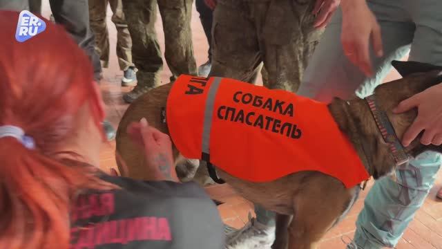 Занятия по тактической медицине провели для специалистов