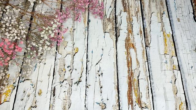 Влог 142026 . Мой первый провал в 101cottontoys_2.0