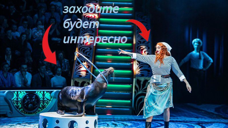 цирк продолжения часто 6