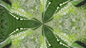 Футажи! Комплект Футажей Весенняя Ландышевая Сказка 4 от Киностудии Мудрого Кота Тимофея!