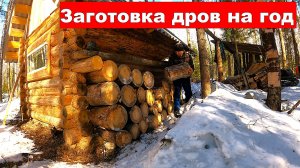 Второй день таскаю металл из леса. Заготовил дров в избу на год.