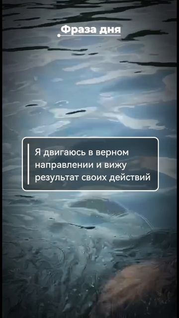 Фраза дня: Я двигаюсь в верном направлении и вижу результат своих действий