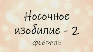 СП «Носочное изобилие - 2». Отчет февраль.