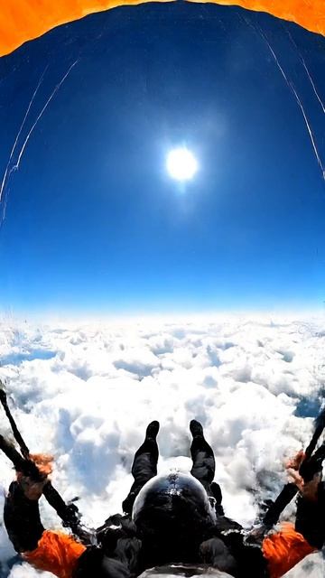 Свободное падение бизнеса. Знакомо?