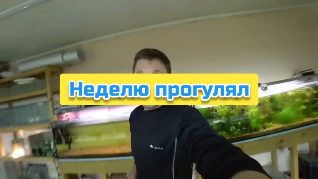 Неделю прогулял