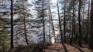 Апрельский выезд выходного дня на берег водохранилища, бездорожье.