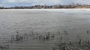 ПОМОРМЫШИТЬ НЕ ПОЛУЧИЛОСЬ, СИЛЬНЫЙ ВЕТЕР, ХОЛОДНО