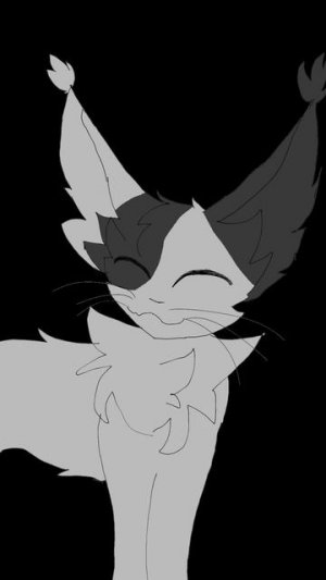 начало аниматика