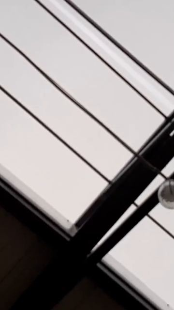 Световой конек в коровнике