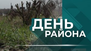 В Волгограде начинается третий этап обновления проспекта Металлургов