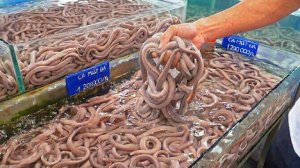 Необычные способы приготовления угря без глаз, молочные моллюски, жареные кровяные моллюски