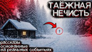 УЖАС ТАЙГИ. ОНИ СВЕРНУЛИ НЕ ТУДА. Что скрывают ЗИМНИЕ ЛЕСА? | Мистические Страшные Истории на ночь