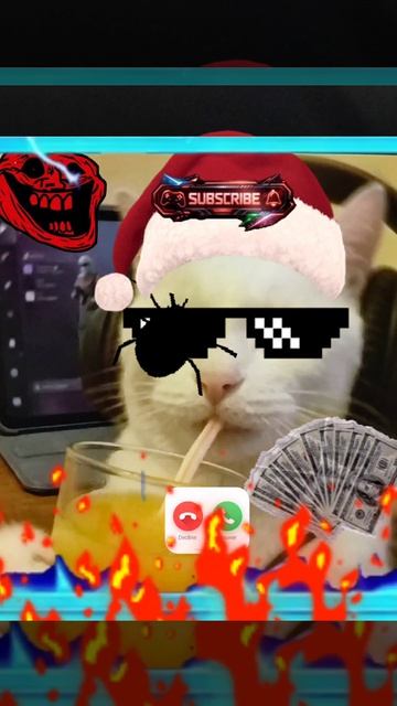 ответили бы коту?