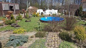 Прибралась в цветниках.Удобрила многолетники.Переделала грядку под клубнику🍓 #любимаядача🌞