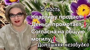 5 часть. Квартиру продаст❗️Деньги промотает❗️Согласна на ОБЩУЮ могилу❗️
