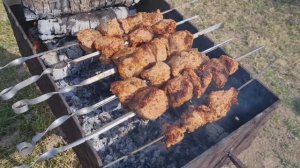 Шашлыки на Пасху. На даче +15.🌞Продолжаем праздновать и отдыхать. Обзор растений на 12.04.26.🌷