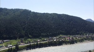 petal_20250714_163322.mp4