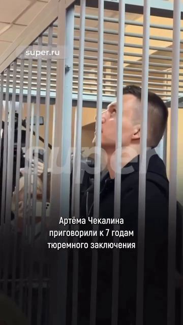Артема Чекалина приговорили к 7 годам тюремного заключения