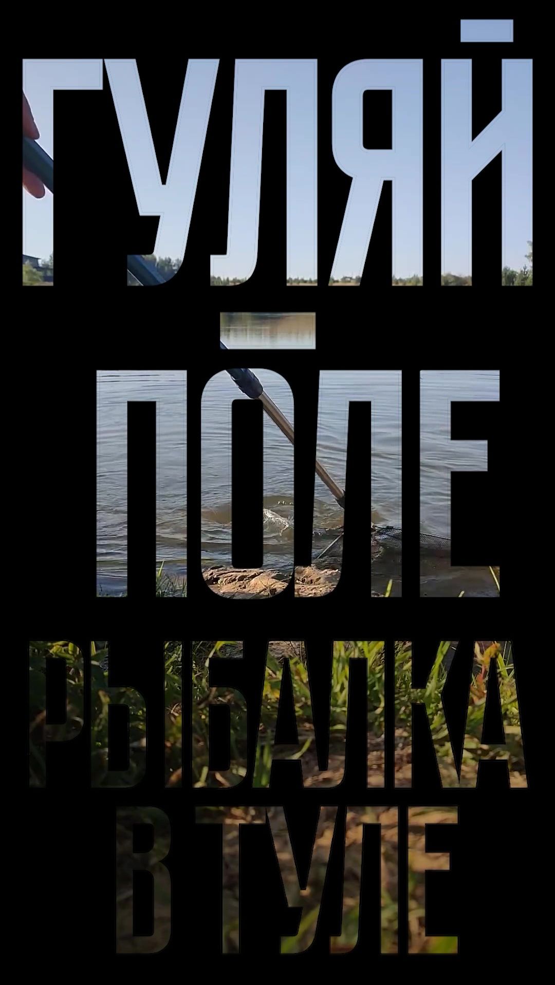 Запуск карпа в пруд / Гуляй - поле