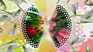 Весна! Очаровательные тюльпаны 4! Киностудия Мудрого Кота Тимофея!