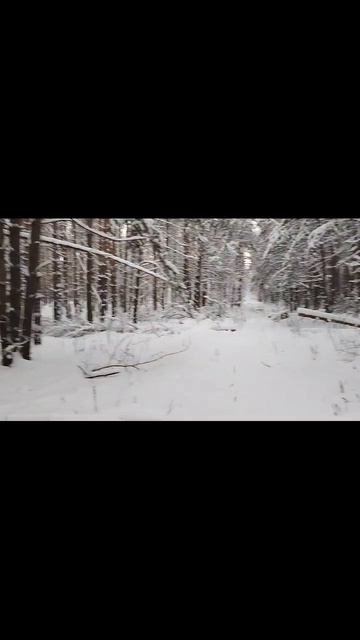 рядом охотники