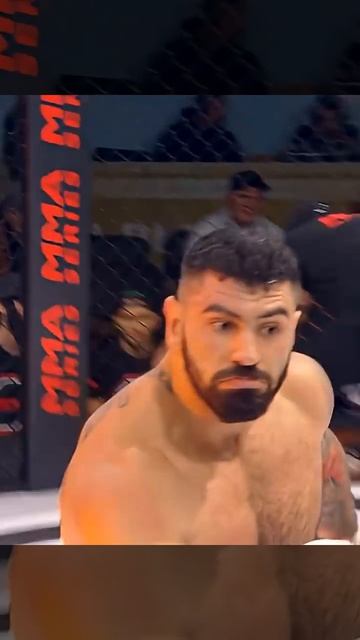 Тяжеловесы в ММА Серии всегда умели закатывать первоклассные шоу