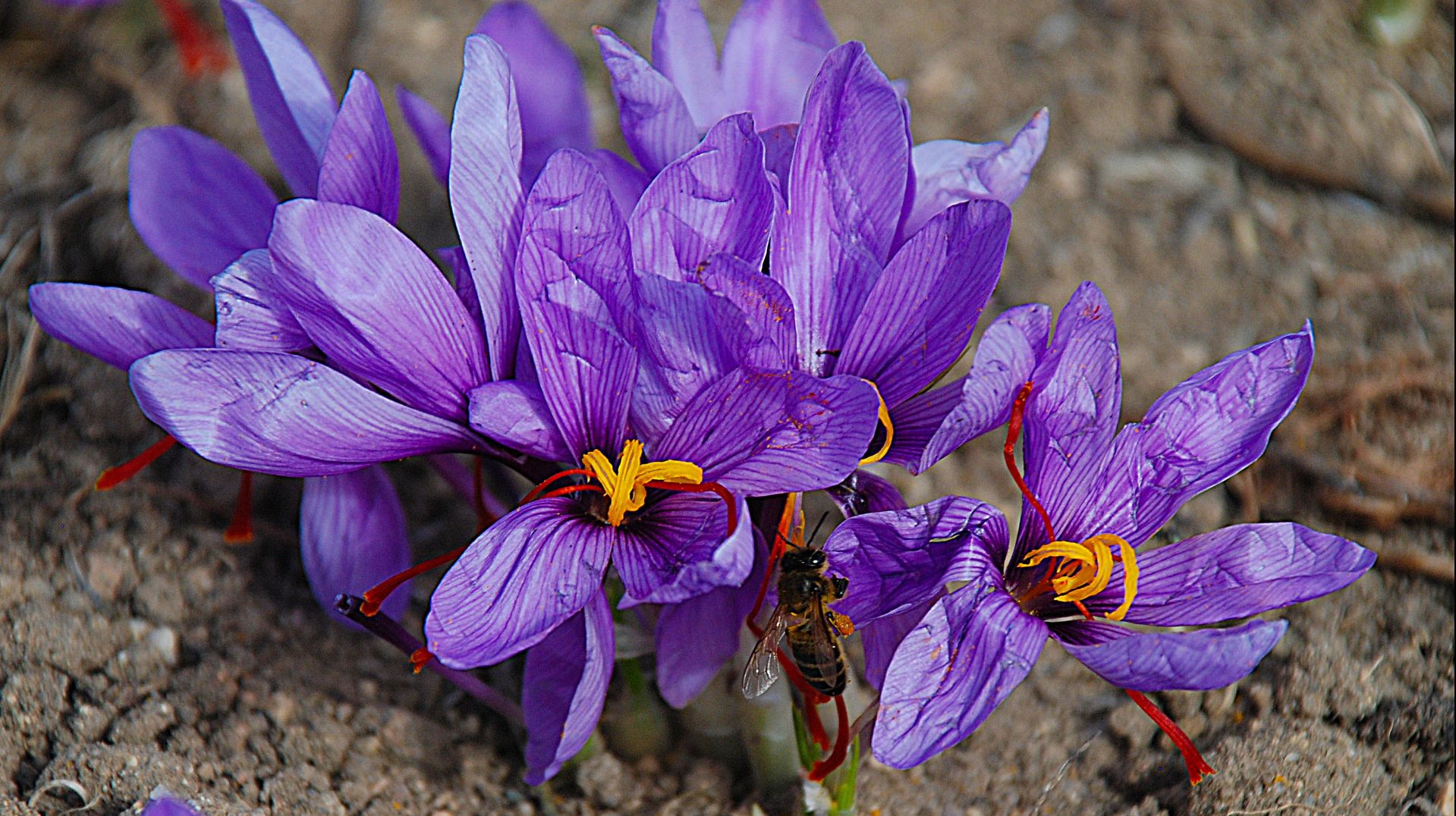 А секса не было  /  There was no sex