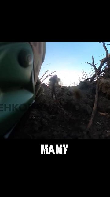 МОМЕНТЫ СВО  #СВО #Война