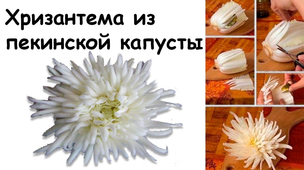 Хризантема из пекинской капусты