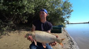 Астраханский клёв! ЛУЧШИЕ моменты за ГОД в 5 минутах!