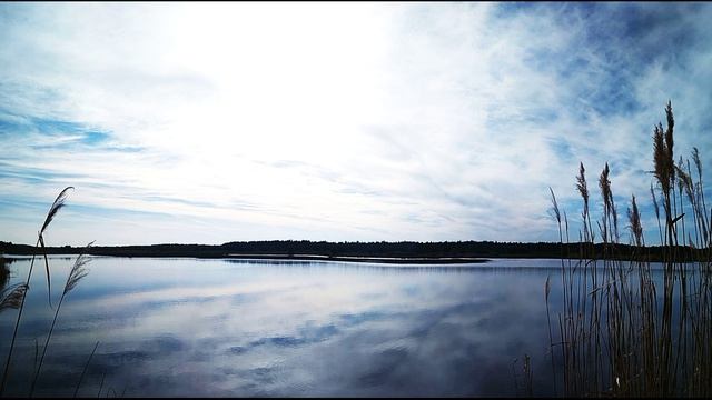 О. Мандельштам.  И Шуберт на воде, и Моцарт в птичьем гаме...