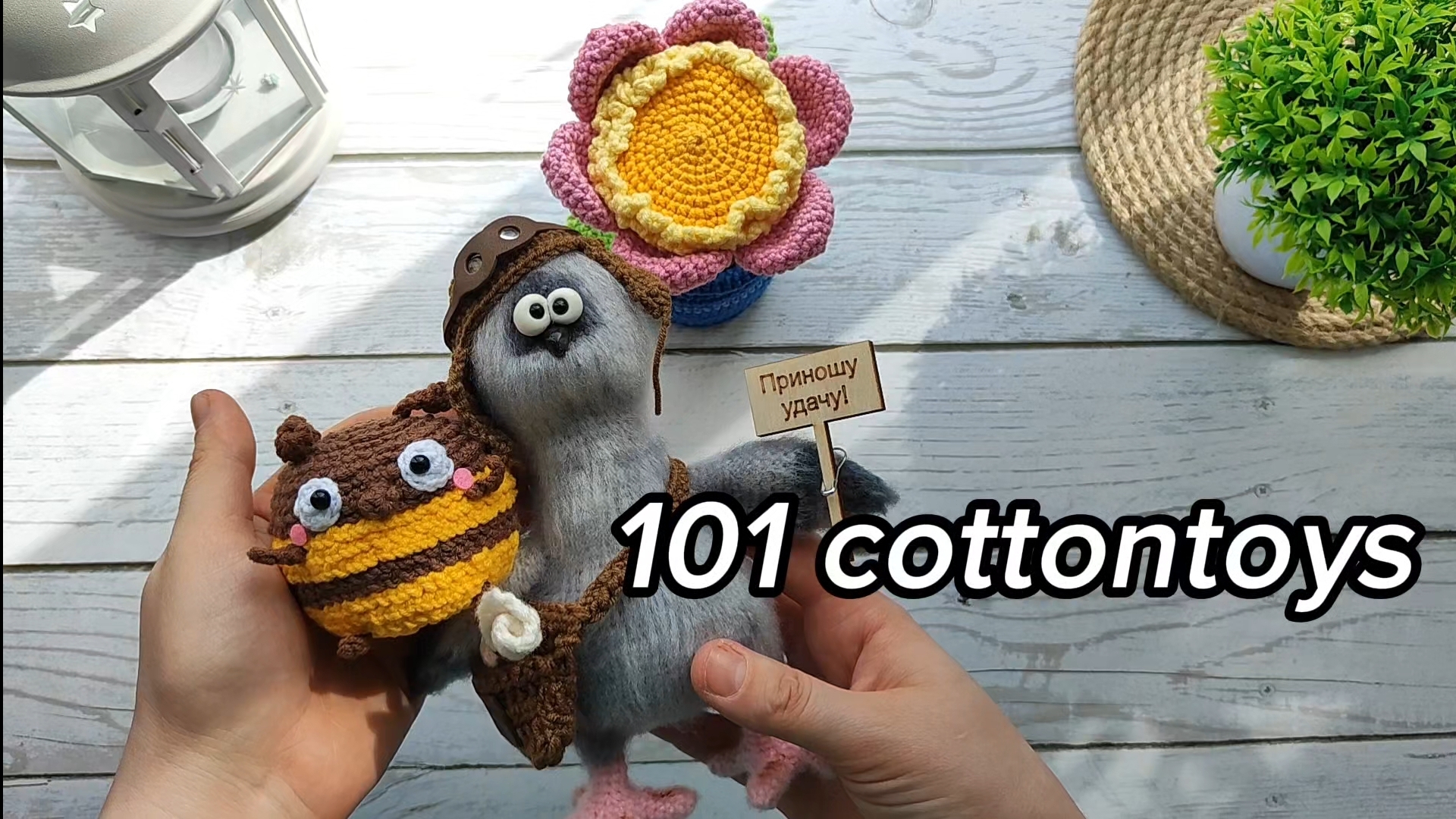 101cottontoys отчет 1. Голубь курлыкинк , готовые работы