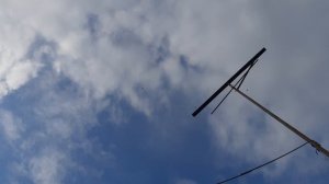 13.04.26 г. Андижанская порода голубей (1)