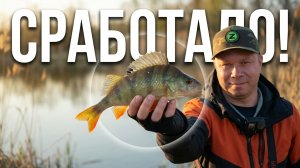 Я думал здесь НЕТ ОКУНЯ… ПОКА НЕ ПРОВЕРИЛ