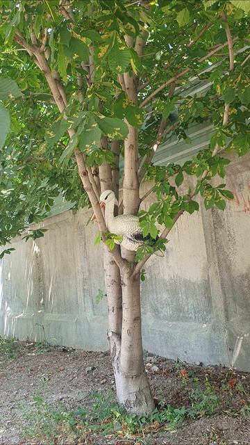 20260413_Мария Чайковская_Красота.mp4